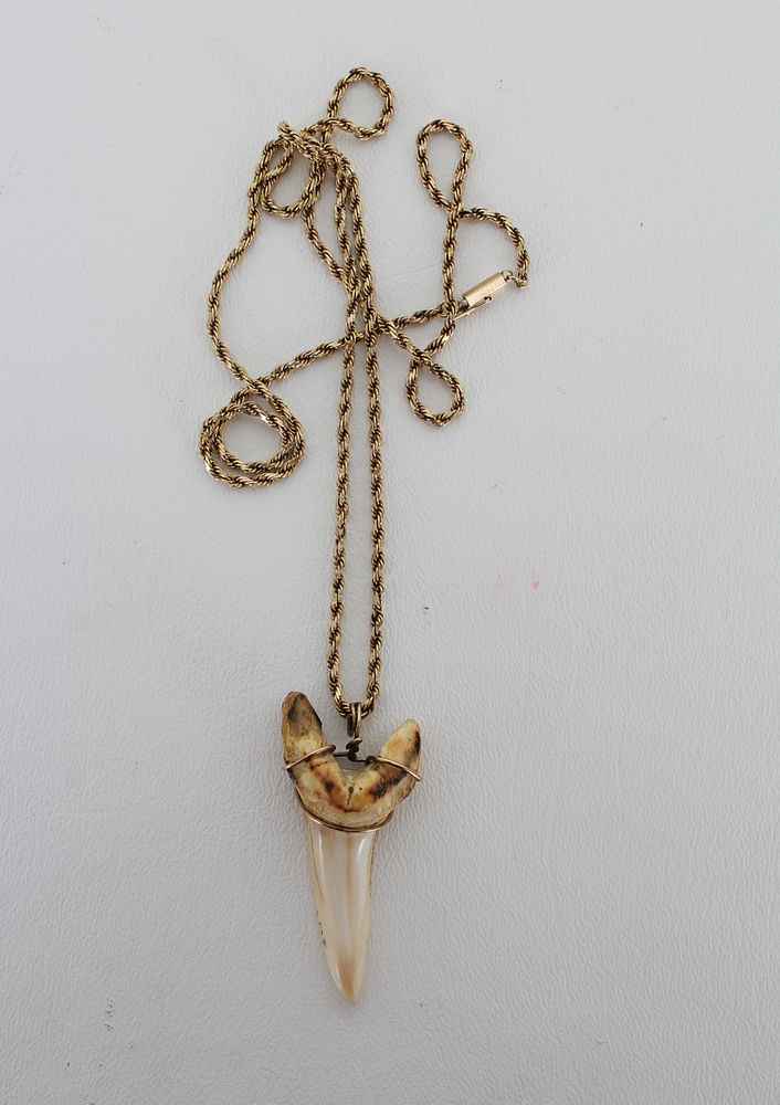 Appraisal: K Gold Necklace w Sharks Tooth Pendant K Gold Necklace