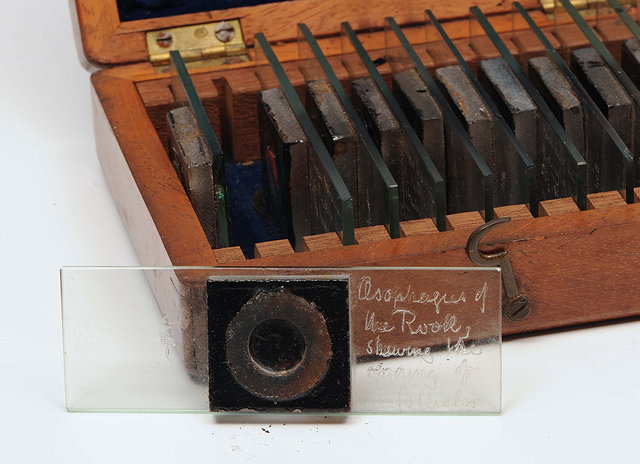 Appraisal: A TH CENTURY MAHOGANY CASE containing twelve microscope slides each