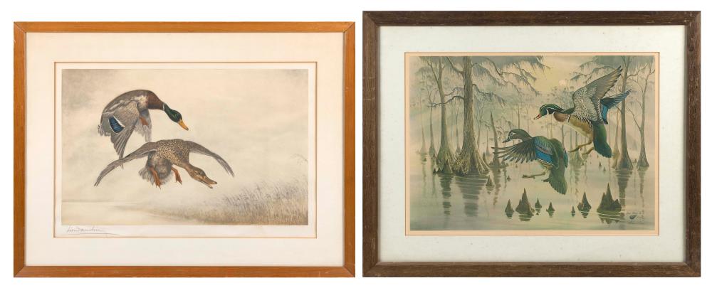 Appraisal: TWO PRINTS OF DUCKS TH CENTURYTWO PRINTS OF DUCKS th