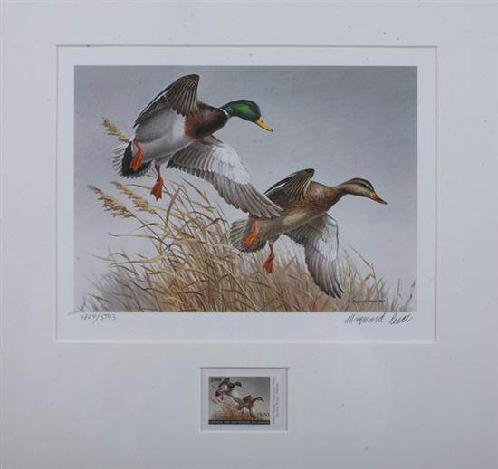 Appraisal: COLLECTION OF MIGRATORY BIRD HUNTING AND NATIONAL FISH AND WILDLIFE