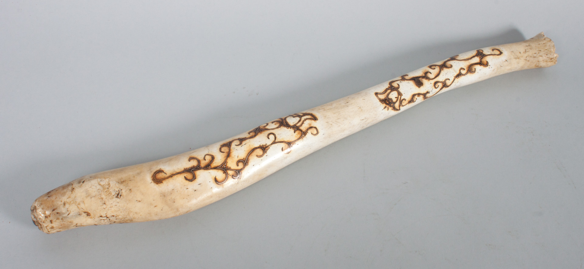 Appraisal: Petrified inlaid walrus baculum metal or silver geometric pattern inlay