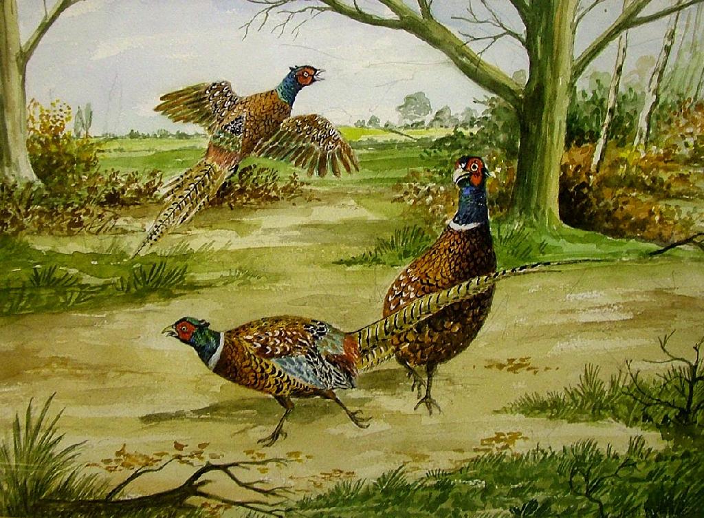 Appraisal: By Ursula Holmes th century British - 'Pheasants' three pheasants