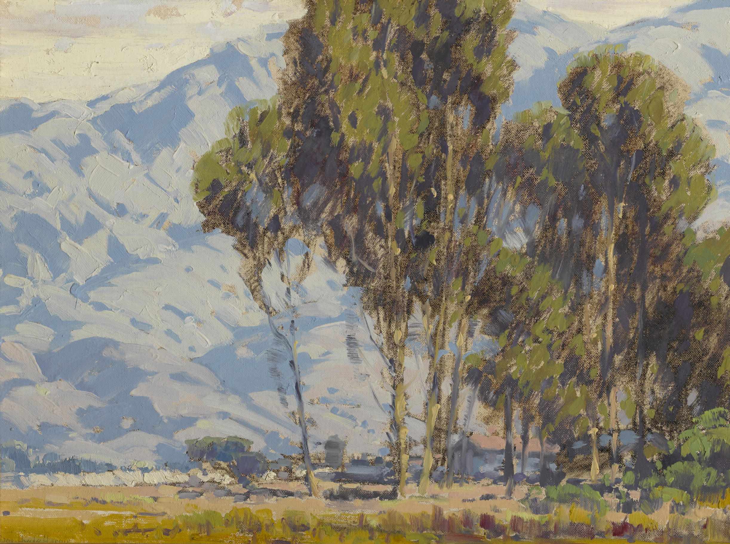 Appraisal: Sam Hyde Harris American - Eucalyptus grove with mountains beyond