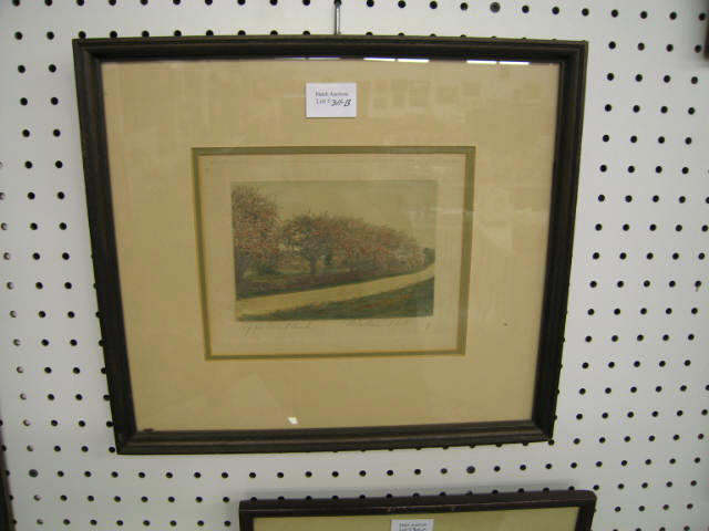 Appraisal: Wallace Nutting Print Apple Tree Bend