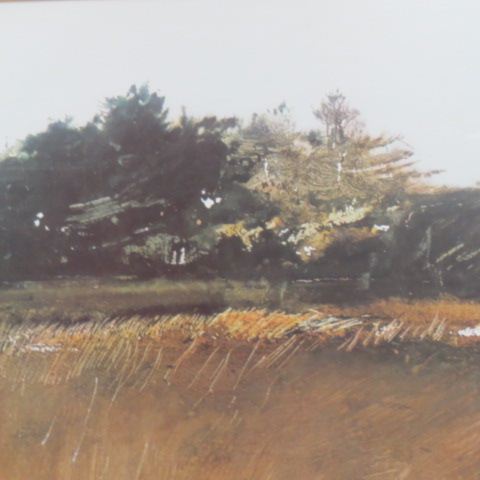 Appraisal: Andrew Wyeth Print