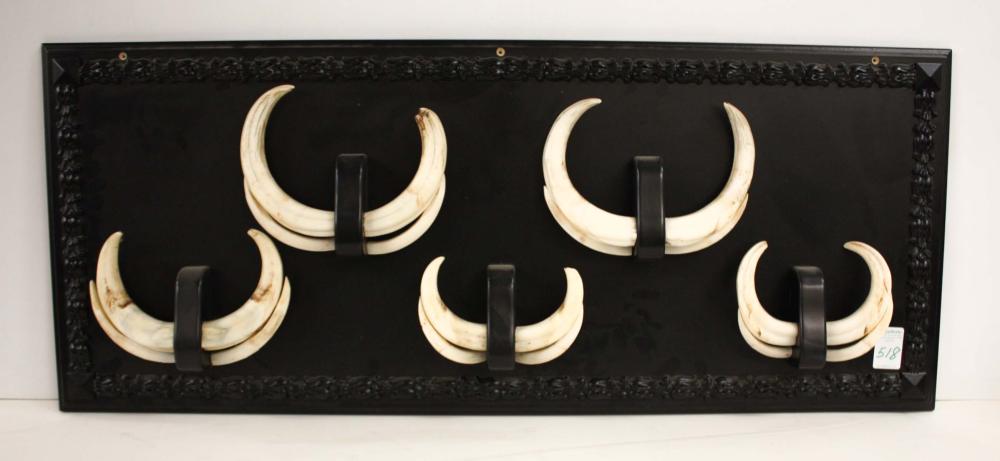 Appraisal: WARTHOG TUSKS WALL PLAQUE featuring five four-piece sets of wart