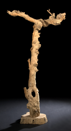 Appraisal: Unusual Coffee Tree Trunk of twisted knotty form raised on