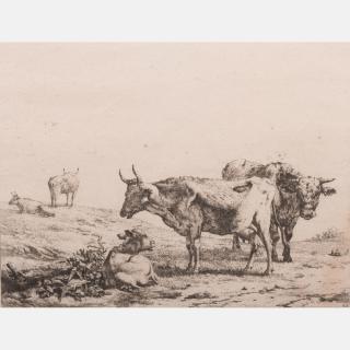 Appraisal: Old Master School th Century Cows in a Field Etching