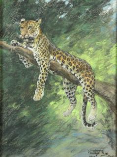 Appraisal: Pastel Geza Vestagh Geza Vestagh Hungarian - Jaguar in Tree