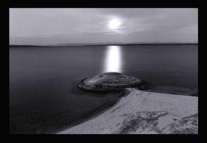 Appraisal: DIANE COOK b MOONRISE OVER FISHING COVE Yellow National Park