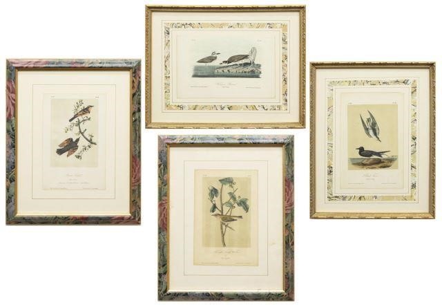 Appraisal: lot of Framed hand-colored ornithology lithographs on paper from The