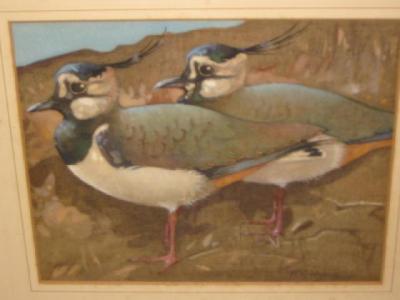 Appraisal: RALSTON GUDGEON Pair of Lapwing signed gouache on linen x