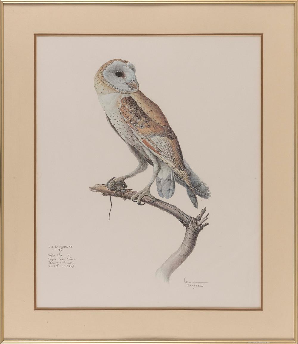 Appraisal: JAMES FENWICK LANSDOWNE BRITISH COLUMBIA CANADA - BARN OWL LITHOGRAPH