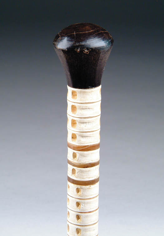 Appraisal: VERTEBRAE CANE Horn knob top and tip with graduated vertebrae