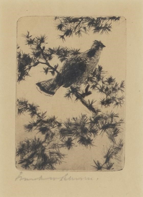 Appraisal: Grouse on a Pine Bough signed Frank W Benson lower