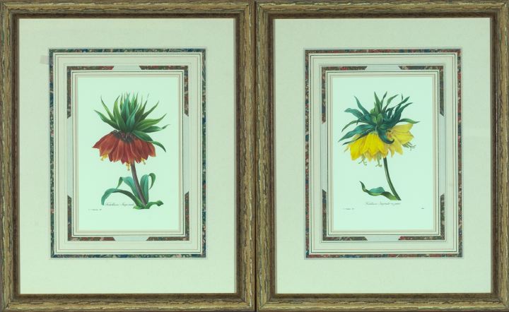 Appraisal: After Pierre Joseph Redoute French - Fritillaire Imperiale pair of