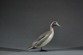 Appraisal: Standing Hollow Pintail Drake Charles S Schoenheider Sr Standing Hollow