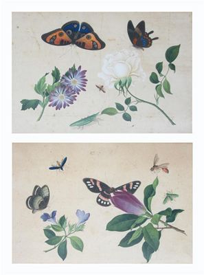 Appraisal: A pair of Chinese watercolours delicately painted with butterflies flowers