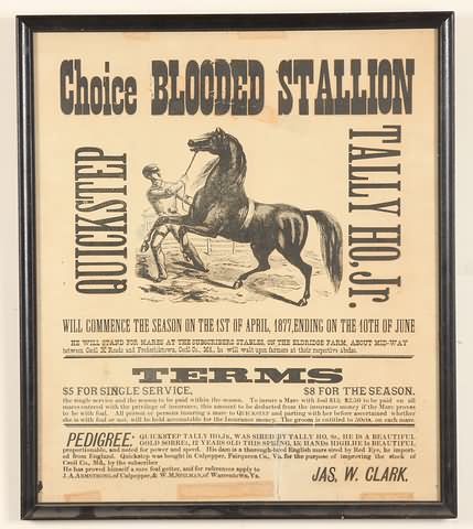 Appraisal: Broadside with text Choice Blooded Stallion Quickstep Tally Ho Jr