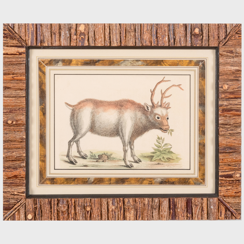 Appraisal: ENGLISH SCHOOL THE GREENLAND BUCK Etching in black with hand-coloring