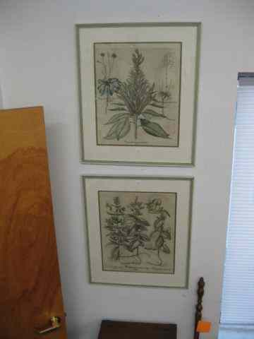 Appraisal: Pair of Early Botanical Engravings image area '' x ''