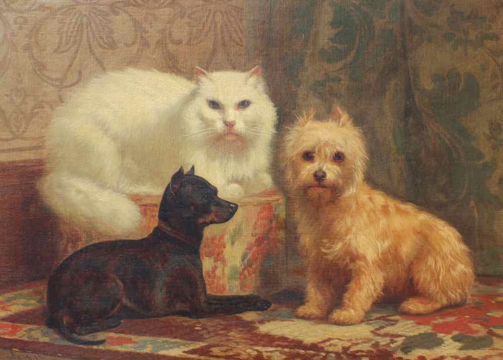 Appraisal: DOLPH John Henry American - Animal Portrait of Persian Cat