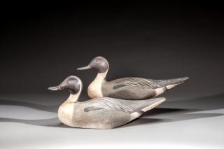 Appraisal: Two Pintail Drakes by The Ward Brothers Lemuel T Two