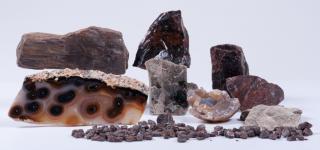 Appraisal: Rocks Minerals Petrified Wood Includes mica schist a piece of