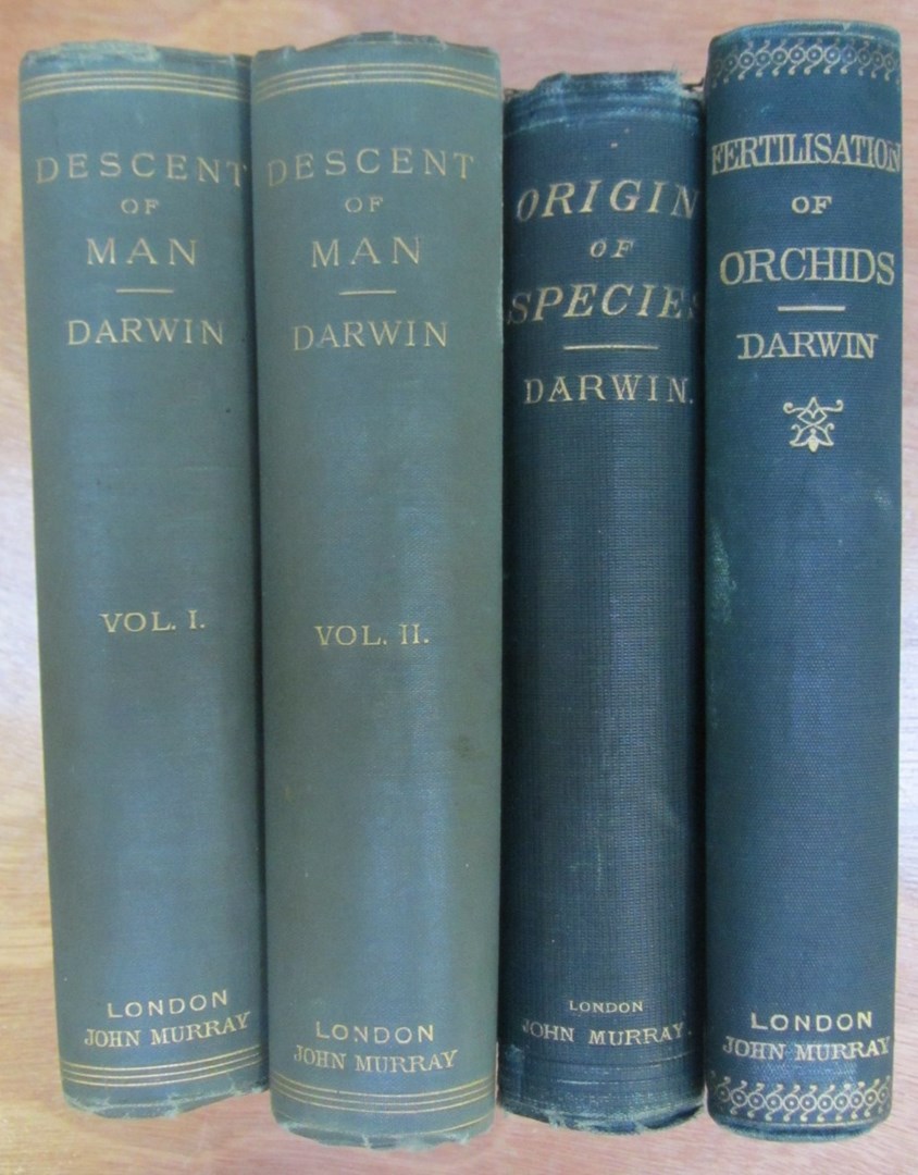 Appraisal: Darwin C The Descent of Man and Selection in Relation