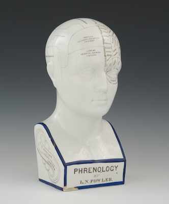 Appraisal: An L N Fowler Phrenology Bust ca A th century