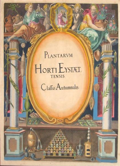 Appraisal: pieces Hand-Colored Engraved Sectional Titles Besler Basilius Hortus Eystettensis Altdorf