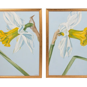 Appraisal: Comer Jennings American - Two Daffodil Paintings oil on canvas