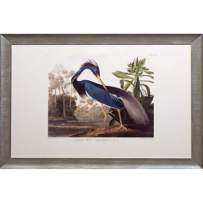 Appraisal: John James Audubon - American Louisiana Heron No Plate presented