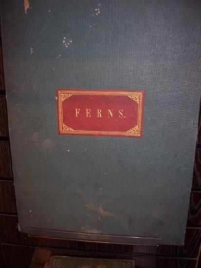 Appraisal: Ferns An Album of Pressed British Ferns found in the