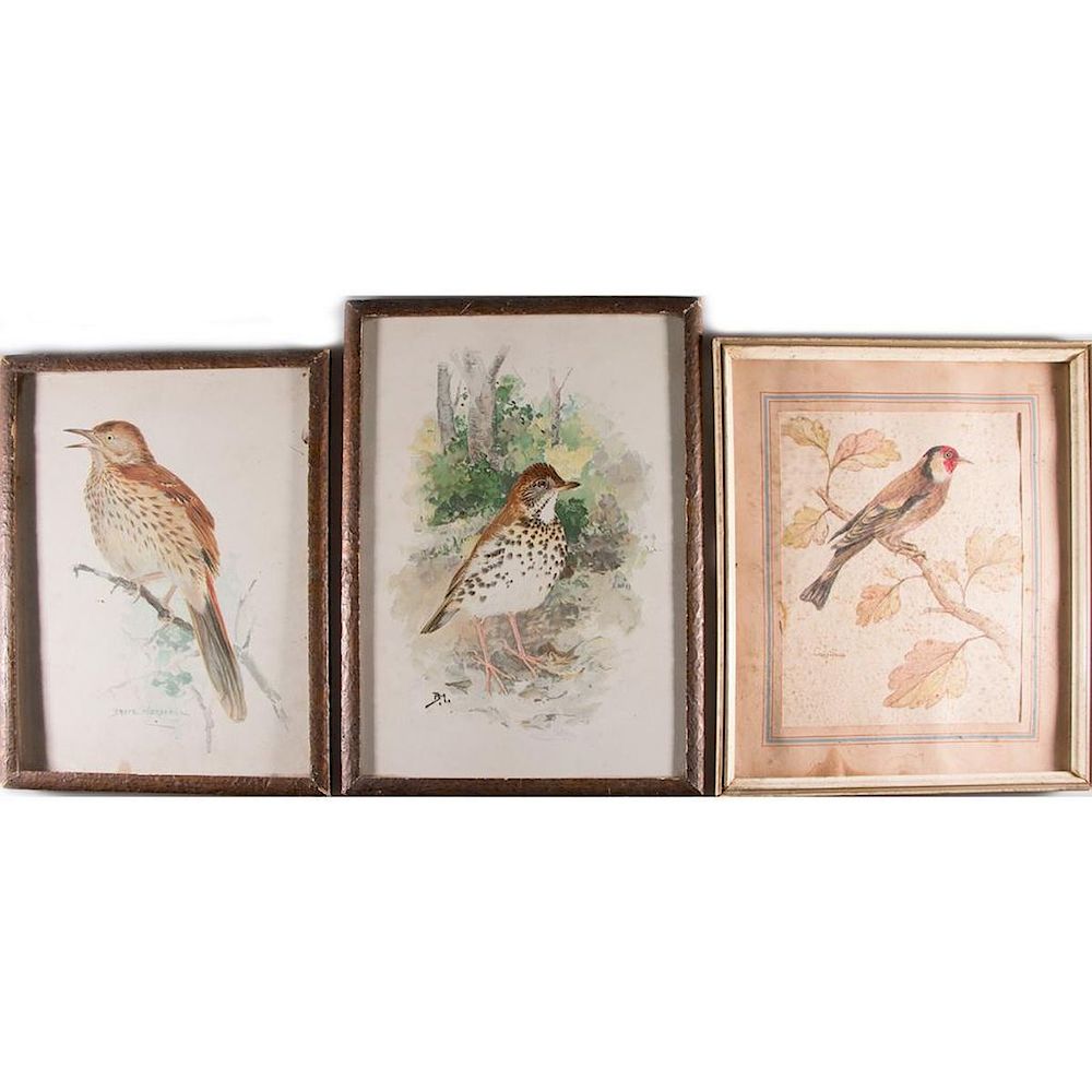 Appraisal: Three watercolors of birds Artist Two by Bruce Horsfall -