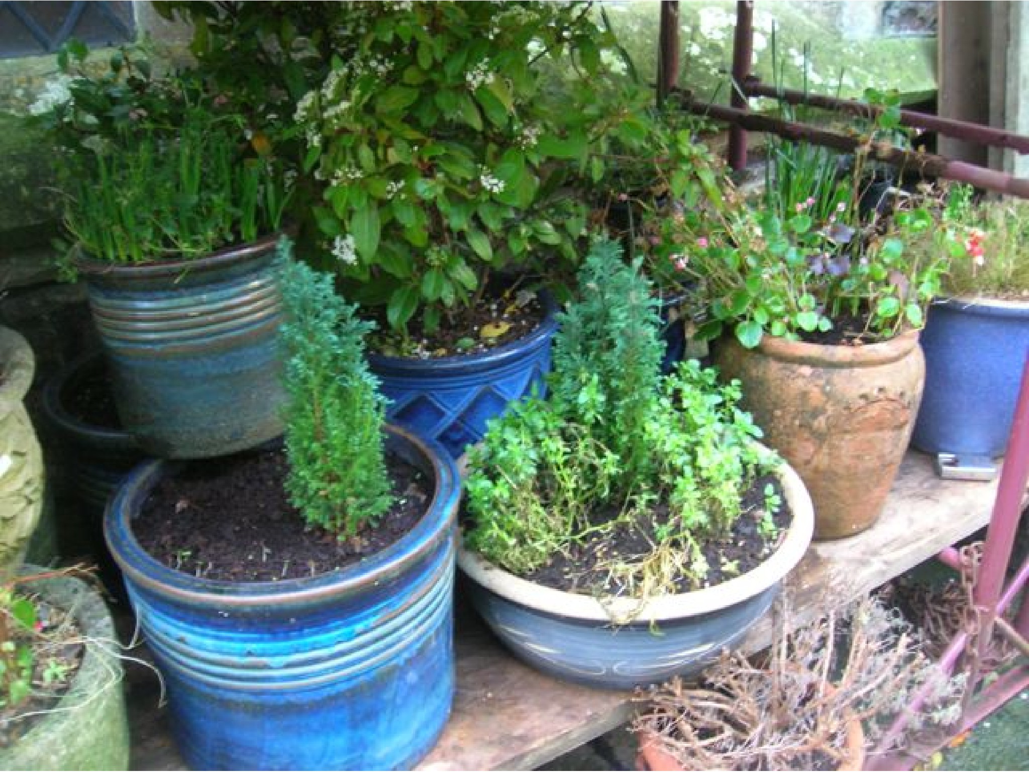 Appraisal: One lot of contemporary mainly blue glazed planters of varying