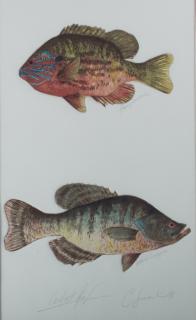 Appraisal: Charles Leonard Signed Etching Hand-colored etching depicting two fish a