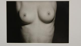 Appraisal: Photograph Martin Schreiber Martin Schreiber American b Madonna Nude gelatin