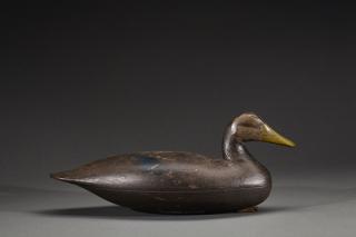 Appraisal: Black Duck Ellis Parker Black DuckEllis Parker - Beach Haven