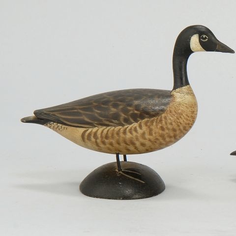 Appraisal: MINIATURE CANADA GOOSE By A E Crowell of East Harwich