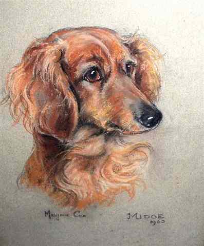 Appraisal: MARJORIE COX - Study of a dachsund 'Midge' signed and