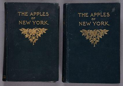 Appraisal: BEACH S A THE APPLES OF NEW YORK Albany First