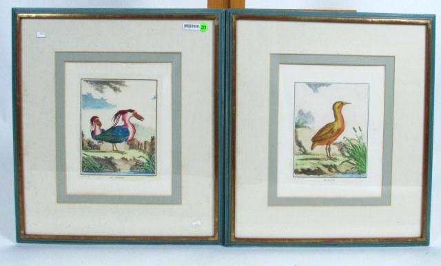 Appraisal: Pair of antique French hand-colored etchings depicting birds x size