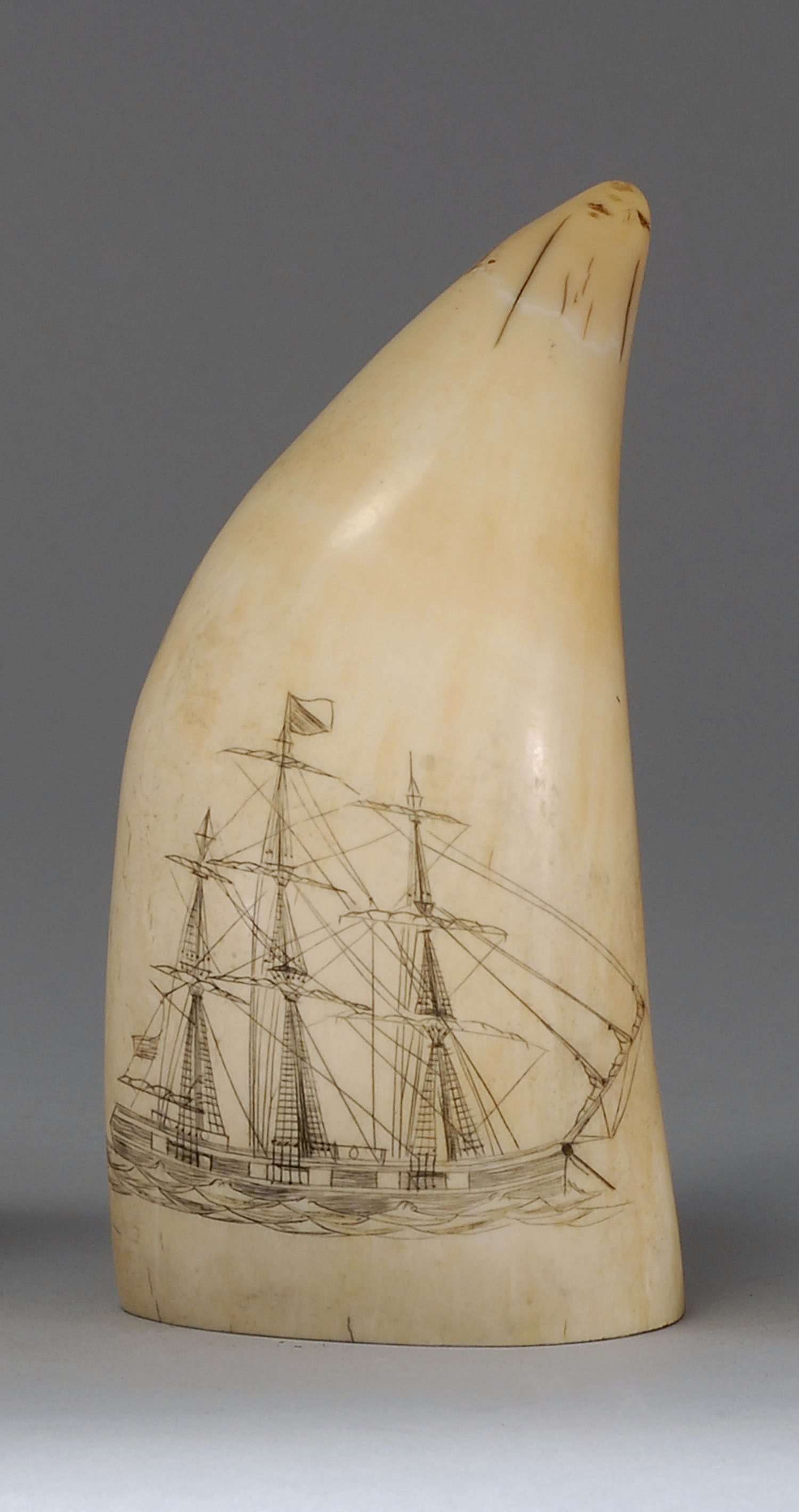 Appraisal: SCRIMSHAW WHALE'S TOOTH American Last Quarter of the th CenturyNot