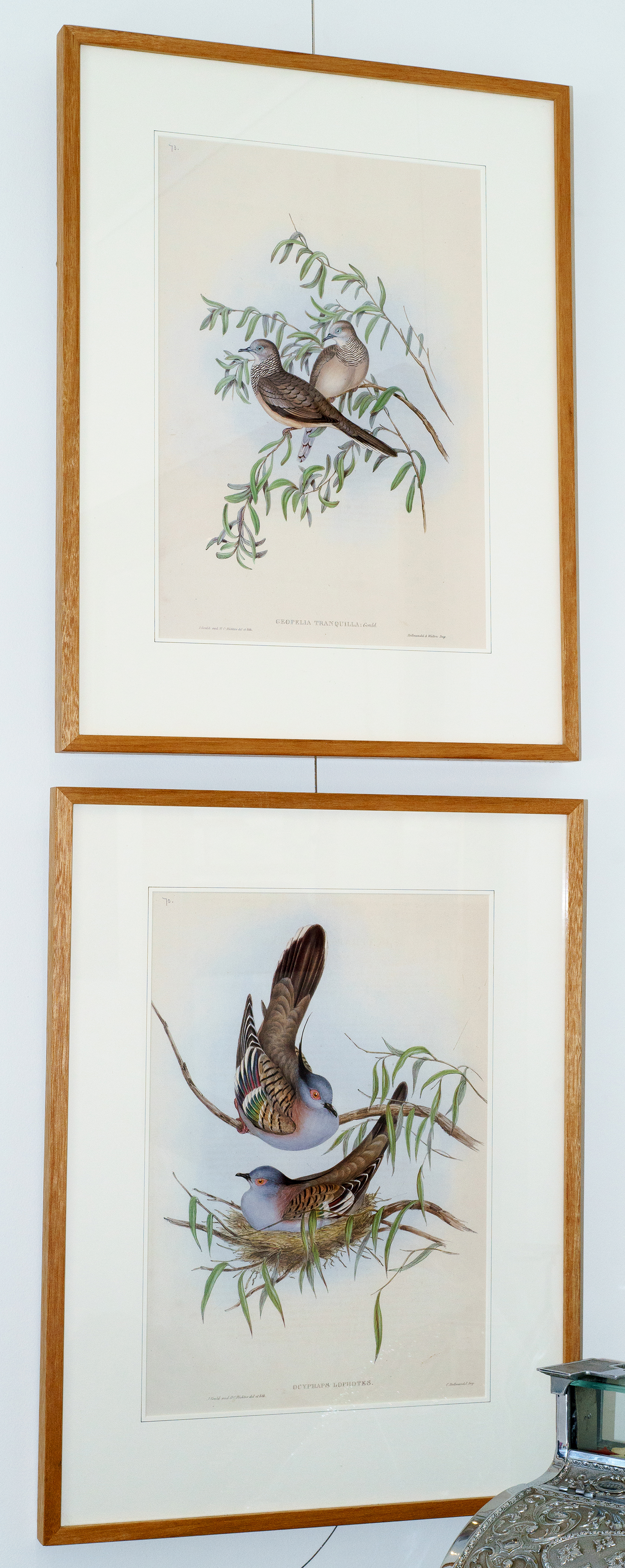 Appraisal: A PAIR OF GOULD 'BIRDS OF AUSTRALIA LIMITED EDITION PRINTS