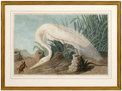 Appraisal: Havell Edition Audubon print quot White Heron quot plate CCCLXXXVI