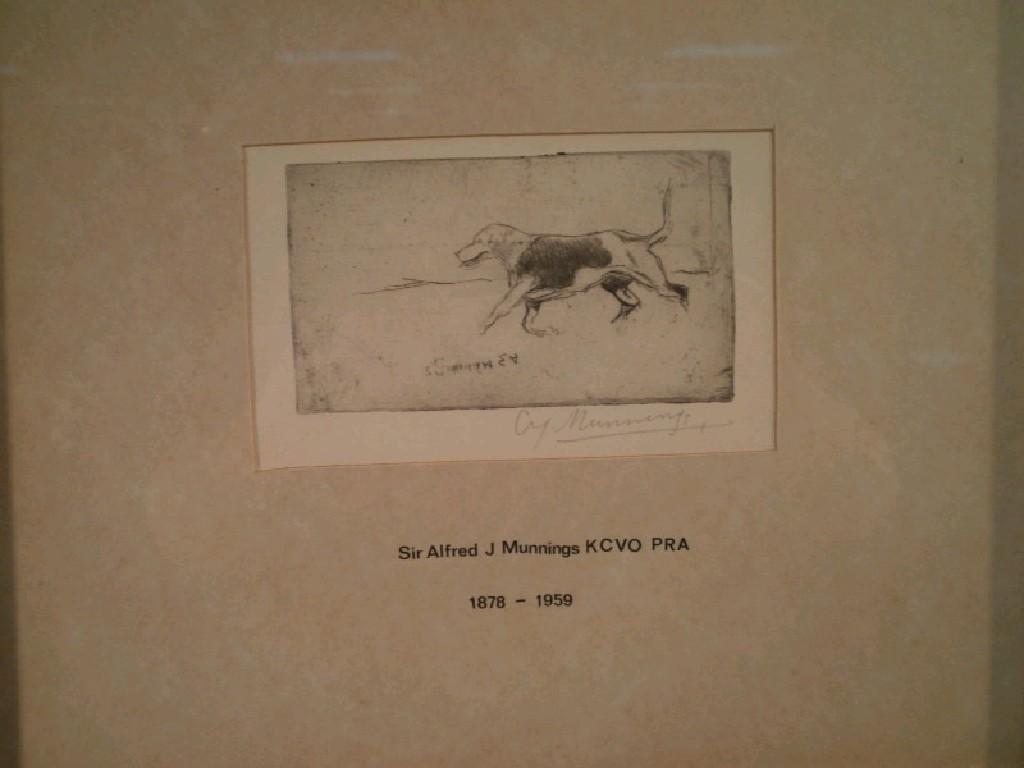 Appraisal: Alfred James Munnings - Study of a Fox Hound Artist