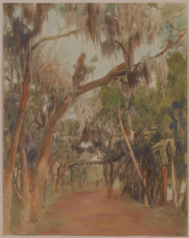 Appraisal: Hand colored photograph of Lover's Lane Florida by William Harris