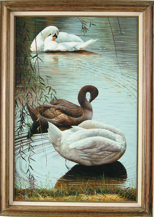 Appraisal: KOHUT th Century TRANQUIL SWANS Oil on board scene shows