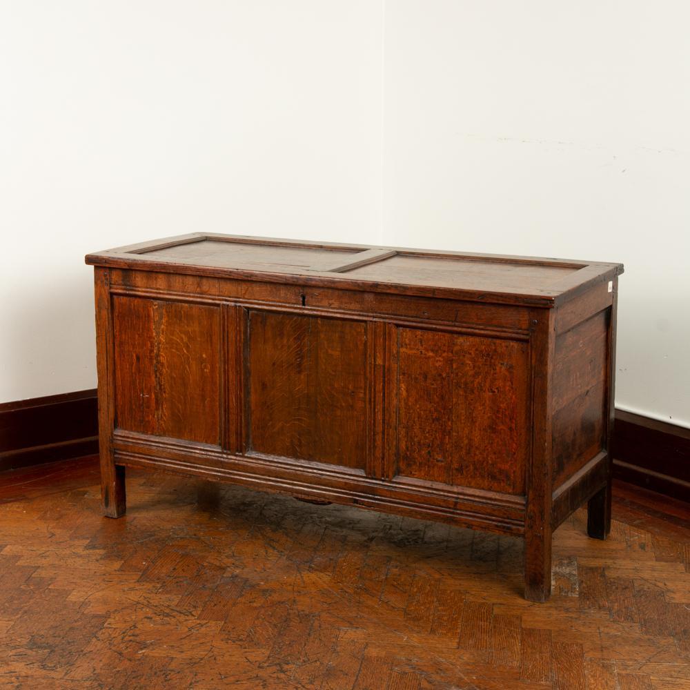 Appraisal: TH C ENGLISH OAK COFFER A paneled English oak coffer